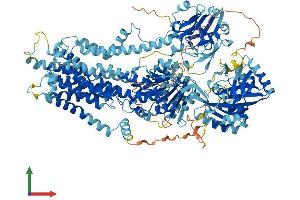 AlphaFold protein structure predicition of Human Recombinant ATP8B4 Protein, UniprotID Q8TF62