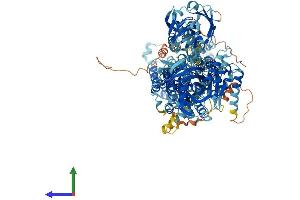 AlphaFold protein structure predicition of Mouse Recombinant Atp8b2 Protein, UniprotID P98199