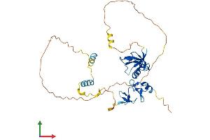 AlphaFold protein structure predicition of Mouse Recombinant Pdlim2 Protein, UniprotID Q8R1G6