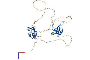 AlphaFold protein structure predicition of Human Recombinant MSI1 Protein, UniprotID O43347