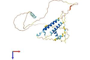 AlphaFold protein structure predicition of Mouse Recombinant Sertad2 Protein, UniprotID Q9JJG5