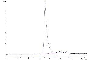 The purity of Biotinylated Human LILRB2 is greater than 95 % as determined by SEC-HPLC.