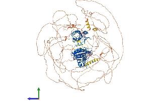 AlphaFold protein structure predicition of Human Recombinant SSH2 Protein, UniprotID Q76I76