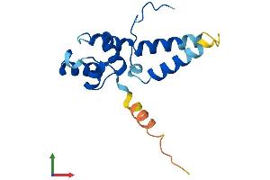 AlphaFold protein structure predicition of Human Recombinant CRCP Protein, UniprotID O75575