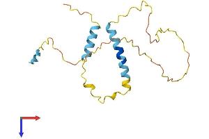 BCL2-Associated Agonist of Cell Death (BAD) (AA 1-168) protein (His tag)