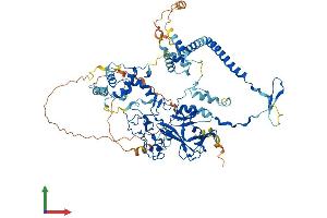AlphaFold protein structure predicition of Mouse Recombinant Ezh2 Protein, UniprotID Q61188