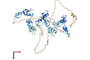 AlphaFold protein structure predicition of Human Recombinant ZNF35 Protein, UniprotID P13682