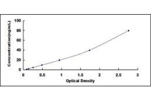 Typical standard curve (PICP Kit ELISA)