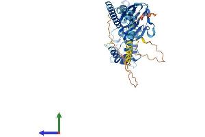 AlphaFold protein structure predicition of Human Recombinant ASIC3 Protein, UniprotID Q9UHC3