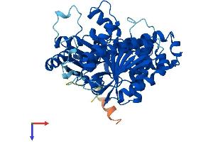 AlphaFold protein structure predicition of Human Recombinant TUBB4A Protein, UniprotID P04350