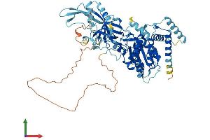 AlphaFold protein structure predicition of Human Recombinant MCMBP Protein, UniprotID Q9BTE3
