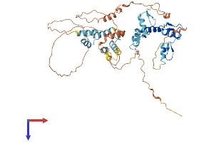 AlphaFold protein structure predicition of Human Recombinant ZNF500 Protein, UniprotID O60304