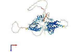 AlphaFold protein structure predicition of Mouse Recombinant Eps8l3 Protein, UniprotID Q91WL0