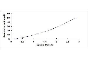Typical standard curve (Calprotectin Kit ELISA)