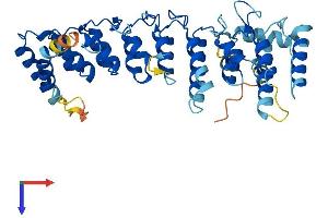 AlphaFold protein structure predicition of Mouse Recombinant Asb6 Protein, UniprotID Q91ZU1