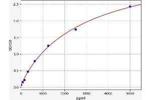 Carbonic Anhydrase I (CA1) ELISA Kit