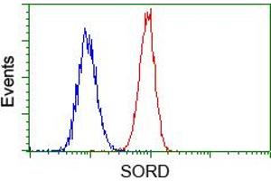 Image no. 1 for anti-Sorbitol Dehydrogenase (SORD) antibody (ABIN1501072) (SORD anticorps)