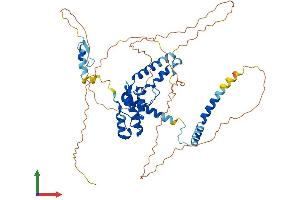 AlphaFold protein structure predicition of Mouse Recombinant Rad18 Protein, UniprotID Q9QXK2