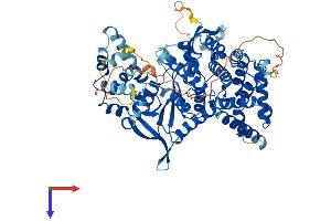 AlphaFold protein structure predicition of Human Recombinant ASTE1 Protein, UniprotID Q2TB18