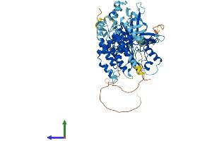 AlphaFold protein structure predicition of Human Recombinant MCMBP Protein, UniprotID Q9BTE3