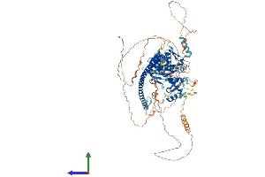AlphaFold protein structure predicition of Mouse Recombinant Ccar2 Protein, UniprotID Q8VDP4