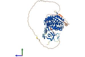 AlphaFold protein structure predicition of Human Recombinant GLYR1 Protein, UniprotID Q49A26