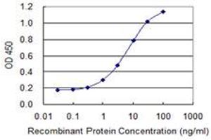 Detection limit for recombinant GST tagged CYLD is 0.