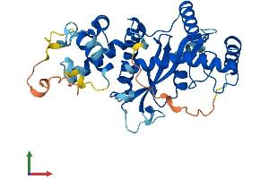 AlphaFold protein structure predicition of Human Recombinant HARBI1 Protein, UniprotID Q96MB7