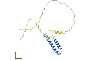 AlphaFold protein structure predicition of Mouse Recombinant Spcs1 Protein, UniprotID Q9D958