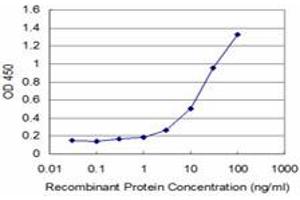 Detection limit for recombinant GST tagged FOXO1A is approximately 1ng/ml as a capture antibody. (FOXO1 anticorps  (AA 556-655))