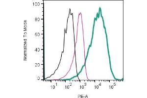 Cell surface detection of CD81 by direct flow cytometry in live intact intact U87- derived extracellular vesicles (EVs):U87- derived EVs.