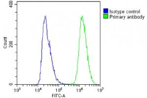 Overlay histogram showing A431 cells stained with (ABIN6242802 and ABIN6578791)(green line).
