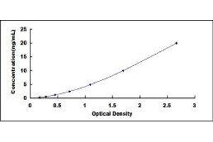 ELISA image for Spermine Oxidase (SMOX) ELISA Kit (ABIN418522)