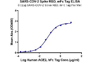 Immobilized SARS-COV-2 Spike RBD at 0. (SARS-CoV-2 Spike Protein (RBD) (mFc Tag))