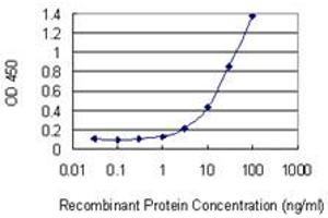 Detection limit for recombinant GST tagged S100A12 is 1 ng/ml as a capture antibody.