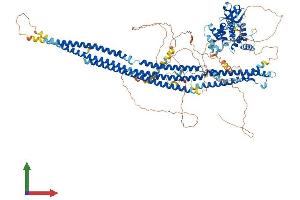 AlphaFold protein structure predicition of Mouse Recombinant Srgap2 Protein, UniprotID Q91Z67