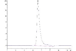 The purity of Cynomolgus Mesothelin/MSLN is greater than 95 % as determined by SEC-HPLC.