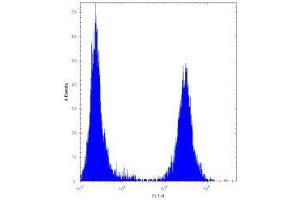 TGFBI antibody flow cytometric analysis of U251 cells (right histogram) compared to a negative control (left histogram).