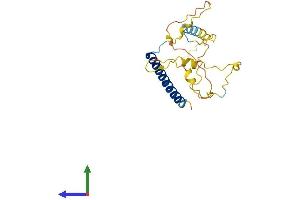 AlphaFold protein structure predicition of Human Recombinant MBD3L2 Protein, UniprotID Q8NHZ7