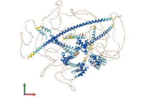 AlphaFold protein structure predicition of Human Recombinant CUX2 Protein, UniprotID O14529