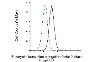 Validation of Eukaryotic translation elongation factor 2 knockdown using flow cytometry.