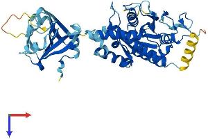 AlphaFold protein structure predicition of Human Recombinant IFI44 Protein, UniprotID Q8TCB0