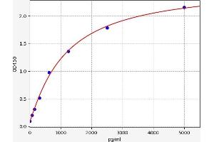 Typical standard curve (CD130/gp130 Kit ELISA)