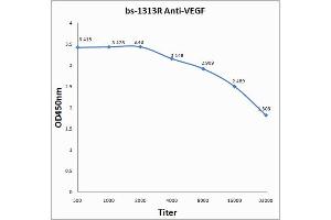 Antigen: 0. (VEGF anticorps)