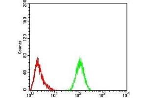 Flow cytometric analysis of Hela cells using YWHAB mouse mAb (green) and negative control (red).