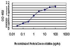 Detection limit for recombinant GST tagged SEPHS2 is approximately 0.