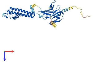 AlphaFold protein structure predicition of Mouse Recombinant Kcnj1 Protein, UniprotID O88335