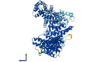AlphaFold protein structure predicition of Human Recombinant XPOT Protein, UniprotID O43592