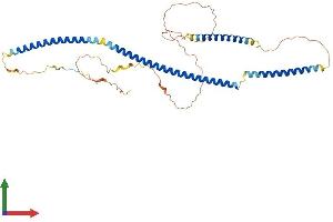 AlphaFold protein structure predicition of Mouse Recombinant Azi2 Protein, UniprotID Q9QYP6