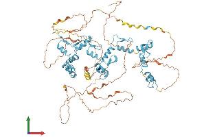 AlphaFold protein structure predicition of Mouse Recombinant Ctcf Protein, UniprotID Q61164